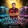 FALCON MINI AKKAUNT