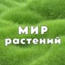 Мир Растений 🌳 дача
