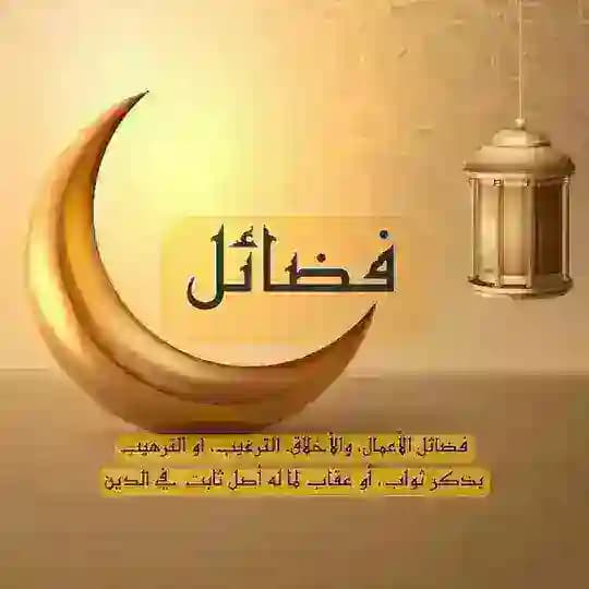 فضائل