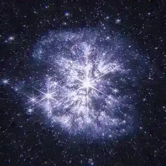 𝓕𝓮𝓼 ⋆ (рест)