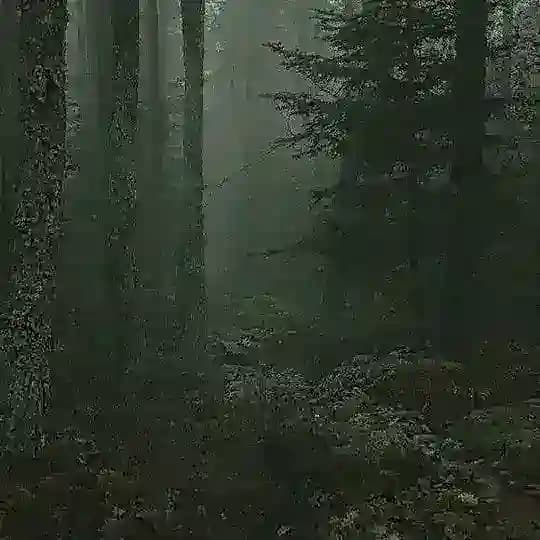 Гиперфиксы Фины.