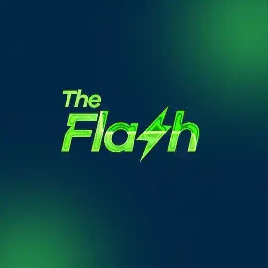 THE FLASH GUIDE ✊
