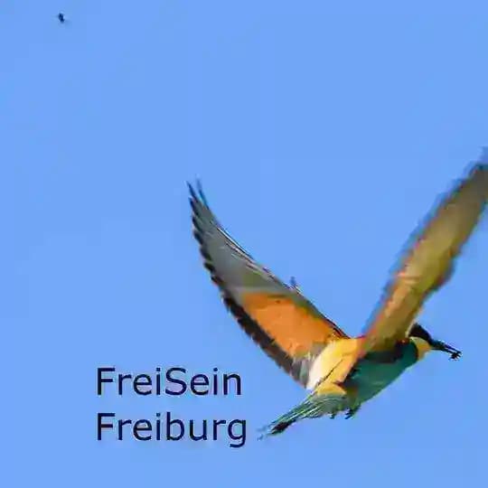 FreiSeinFreiburg