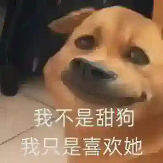 深圳800工兵榜 Profile