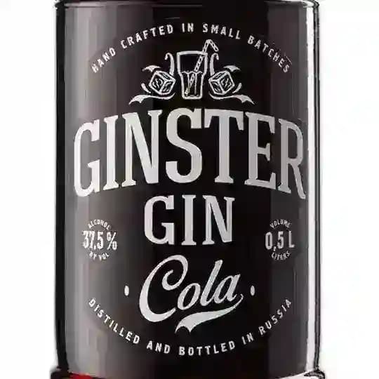 Ginster Mix Master