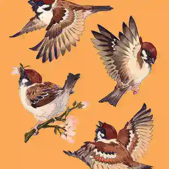 Гнездовье Воробушка🪶🫧