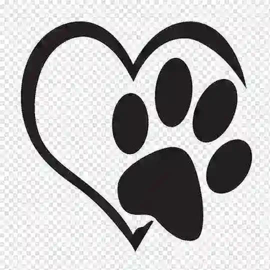 VetCardiology🫀Горбунов Илья