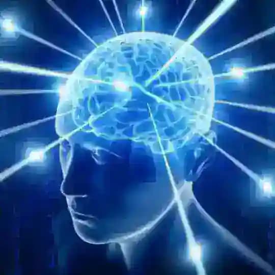 HEAVY BRAIN FUNCTION