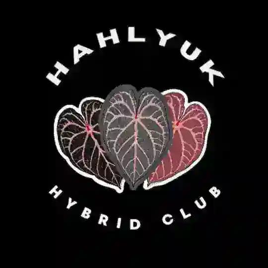 Hahlyuk Hybrid Club
