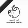 کمیته دانشجویی فدراسیون اقتصاد سلامت