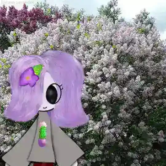 [КОНКУРС]🪻Һ૯ע ՐυՈς ԲՐ૦ɱ ദՆυ૯ ! 🍃