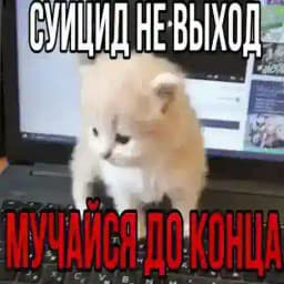Бе-бе-бе | рест Profile
