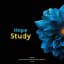 Hope Study