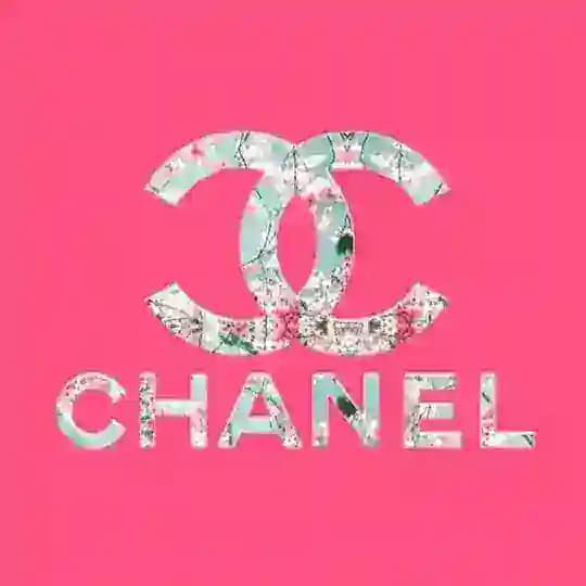 佐敦CHANEL好評頻道