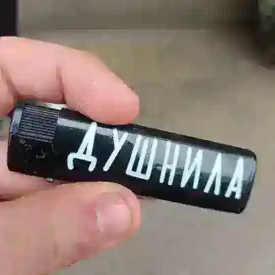 Жизнь kote