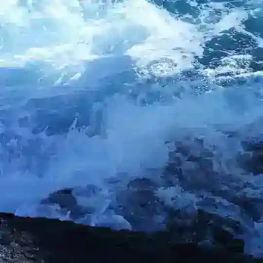 LEBENSELIXIER MEERWASSER