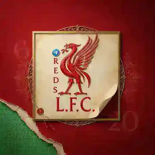 شبكة ليفربول | LFC REDS 🔴