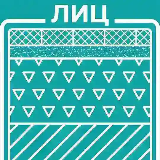ЛИЦ