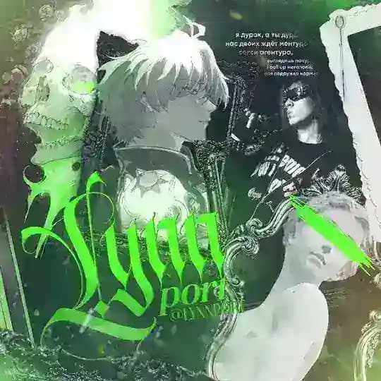 𐔌 ʟ :𝓎ɴɴ ᴘ𑄜ʀ♱. . 𝐟𝐨𝐥𝐢𝐨 ╋━
