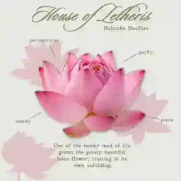 Letheris’ Postcard. Profile