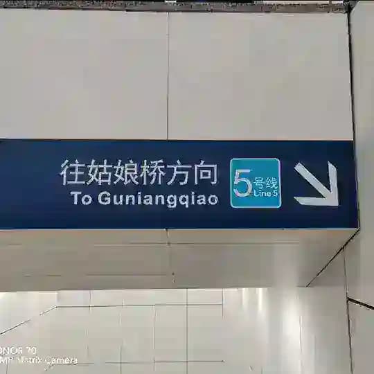 熊本熊の集合室