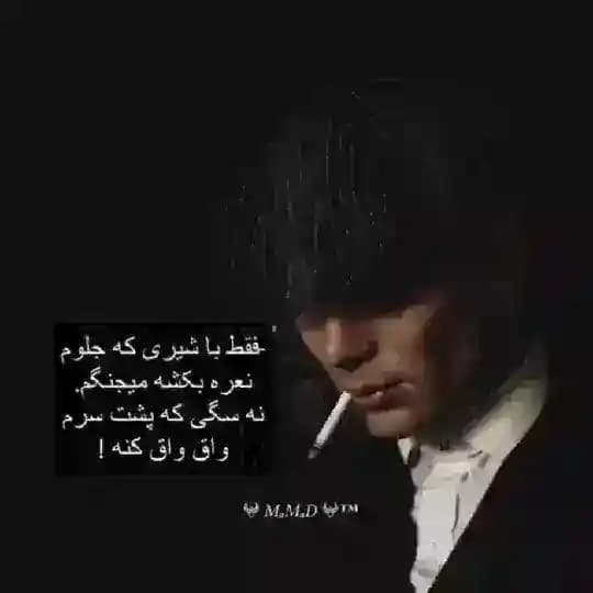 ₒffᵢcᵢₐₗ cₕₐₙₙₑₗ ₒf 𖤍 𝑀ₐ𝑀ₐ𝐷 𖤍™