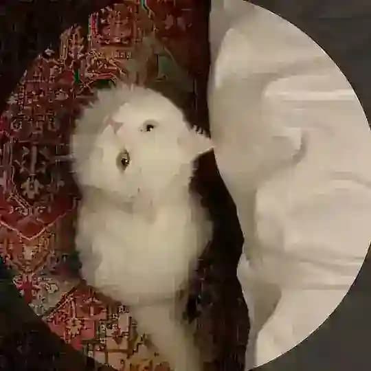 A🇶🇦