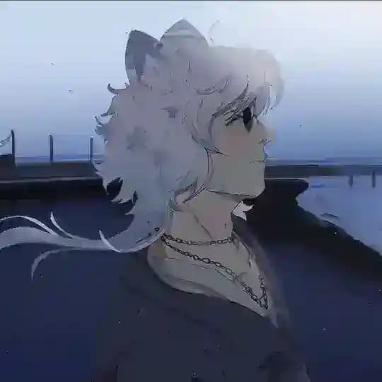 ┊∘⃟Моо𝚛еⓂ️а𝚢о𝚛⁖.