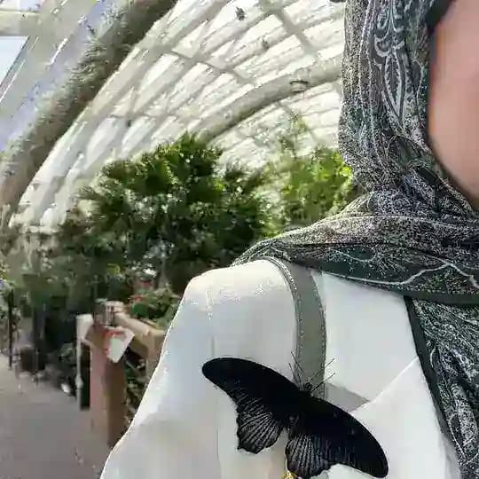 حَـوراء.