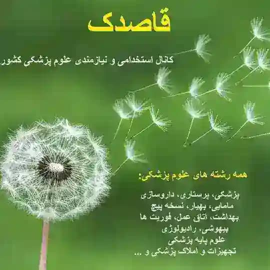 قاصدک:نیازمندی پزشکان کشور