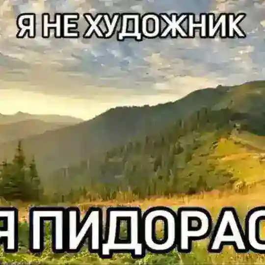 Мелохи ︎︎︎︎︎︎︎︎︎чиркает