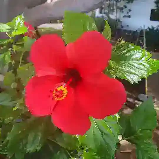 MenschSein ❤️ 🙆‍♂ 🕊