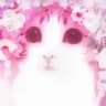 Мяско ᡣ𐭩 ᴹᵃʳᵏᵉᵗ