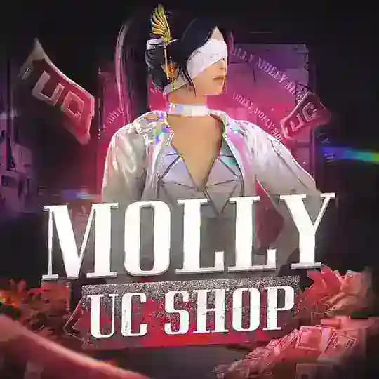 Переходник Molly