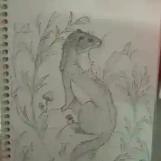 Мечты в лунном тумане.