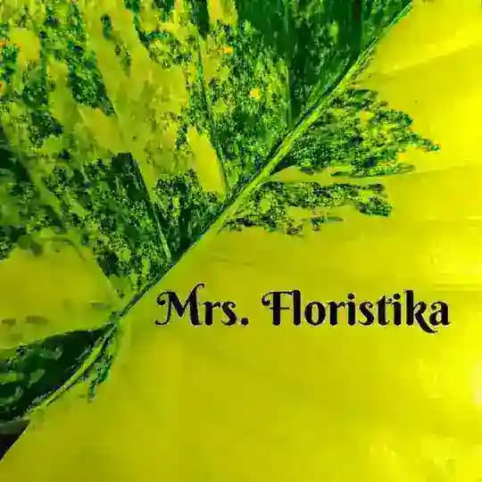 Mrs. Floristika