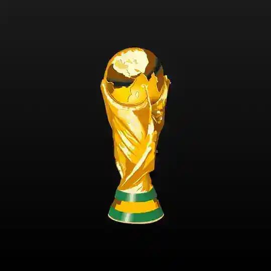 NAGOVEN WORLD CUP