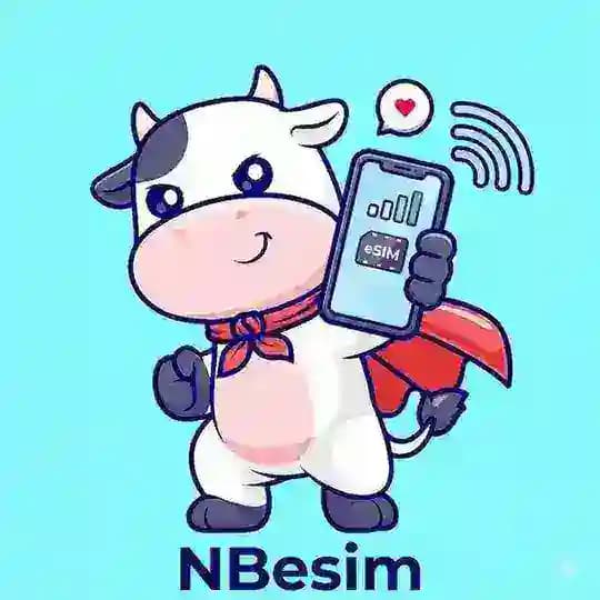 NBesim
