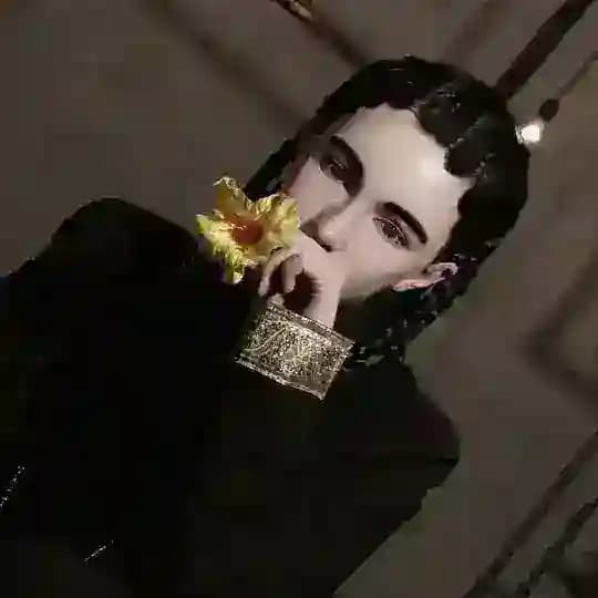 Shouganai Nikol