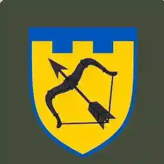 113 окрема бригада ТРО