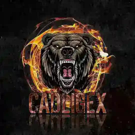 OFC CΛDLIGEX