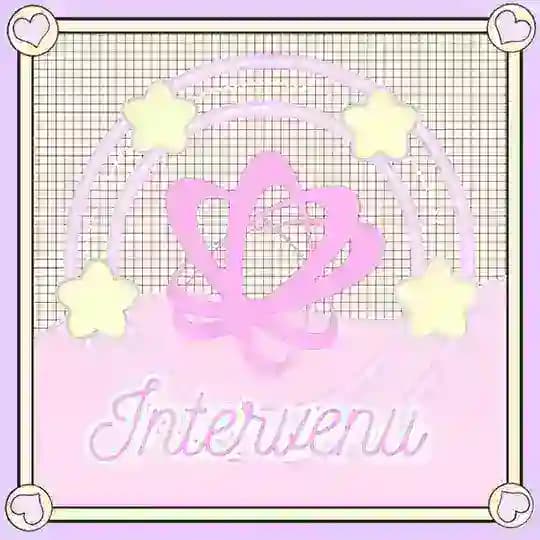 INTERVENU ORGANIZER