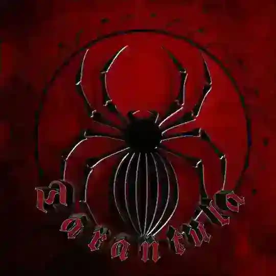 MEMORIES || ØFC 𝕿ARANTULA 🇦🇱