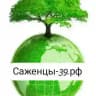 🍀Саженцы-39🌿