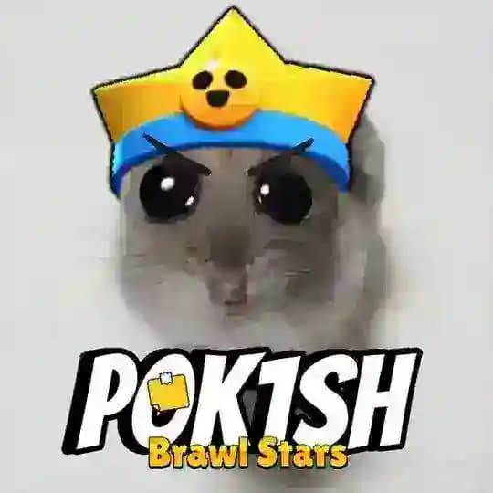 p0k1sh