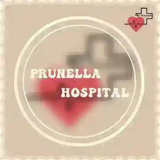 🏥 𝐏𝐑𝐔𝐍𝐄𝐋𝐋𝐀 𝐇𝐎𝐒𝐏𝐈𝐓𝐀𝐋 ꨄ︎