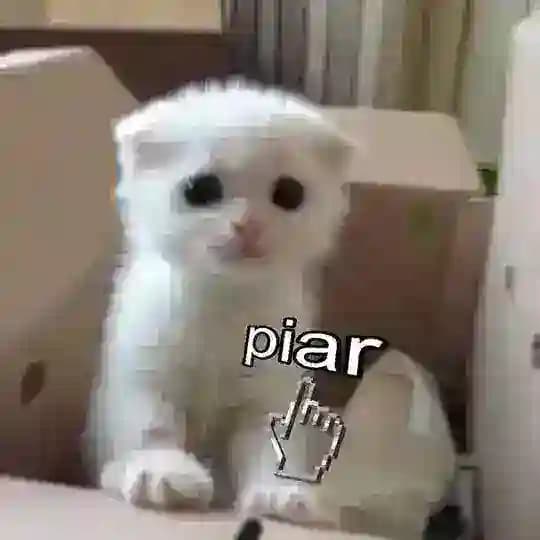 ρiᥲr | чаты/каналы