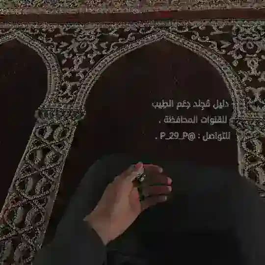 - دَليل مجلِد الطَيب .