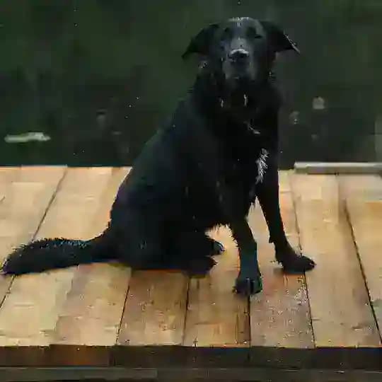Питер Евгеньевич