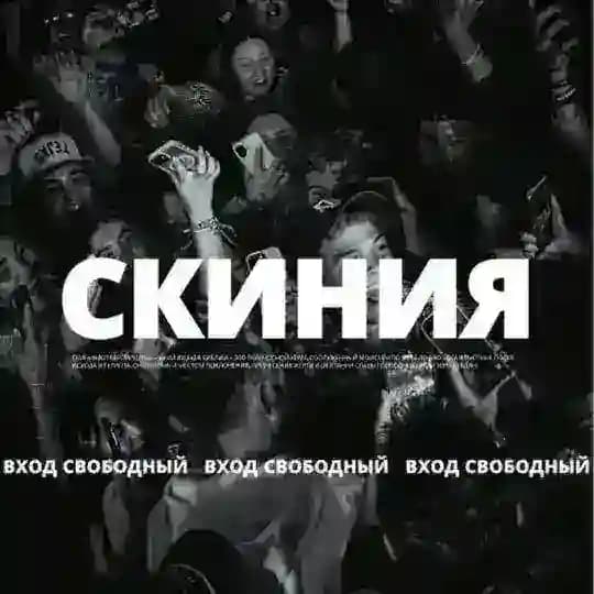 Cкиния. Вход свободный